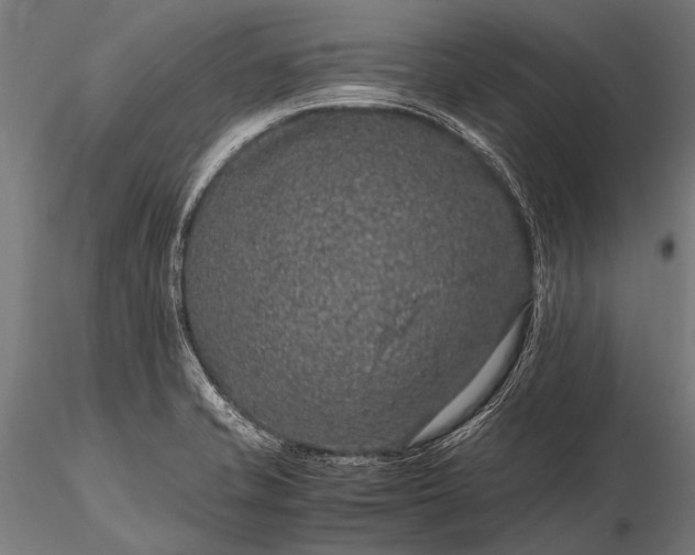 X0000116101421200912071248