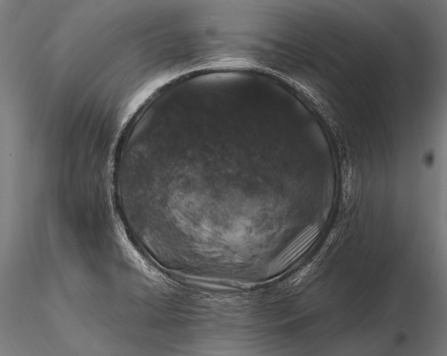 X0000116101422200912071249