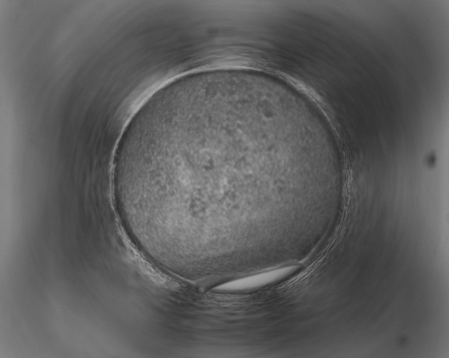 X0000116101423200912071249