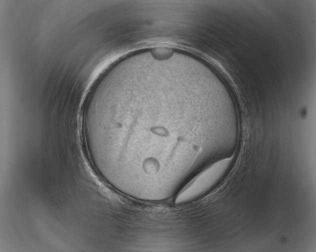 X0000116101424200912071249