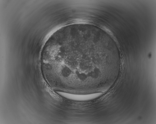 X0000116101427200912071249