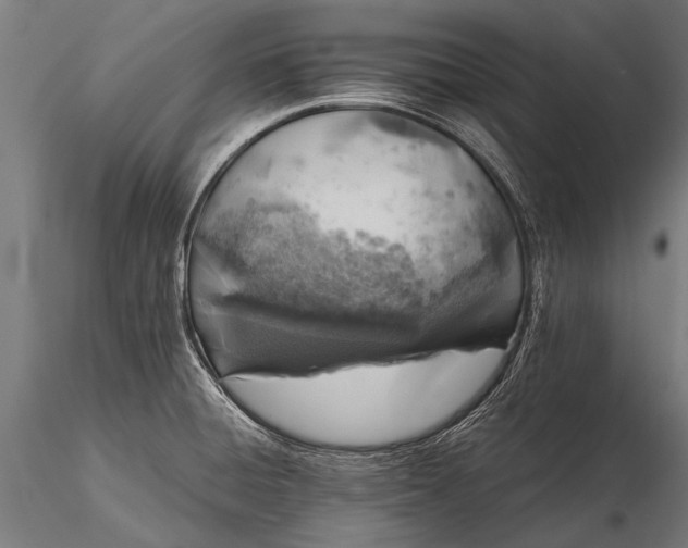 X0000116101428200912071249