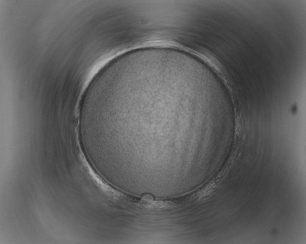 X0000116101430200912071249