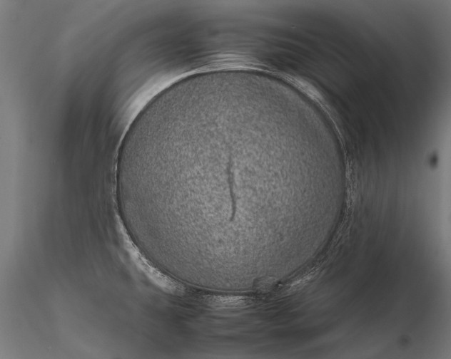 X0000116101431200912071249