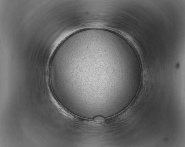 X0000116101432200912071249