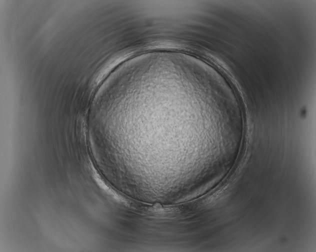 X0000116101433200912071249