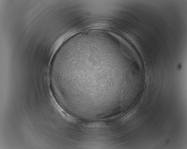 X0000116101434200912071249