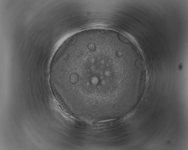 X0000116101435200912071249