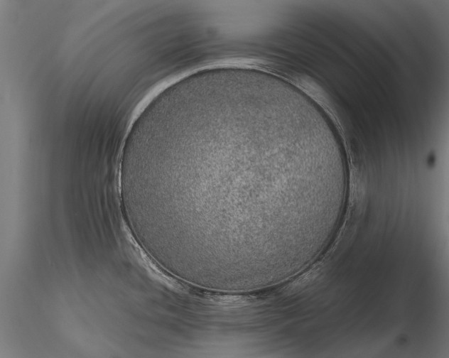 X0000116101436200912071249