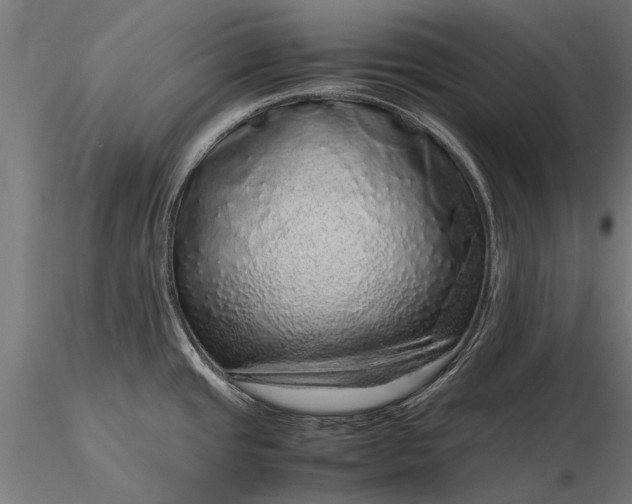 X0000116101437200912071249