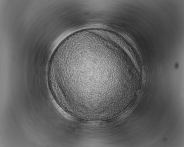 X0000116101438200912071249