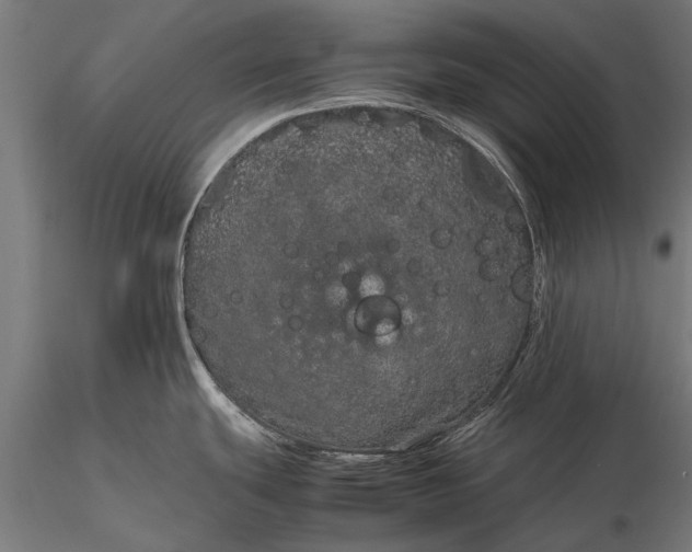 X0000116101439200912071249