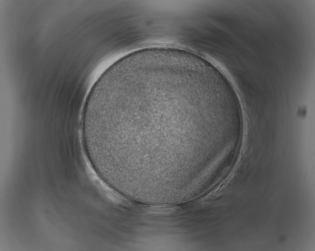 X0000116101440200912071249