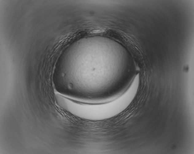 X0000116101441200912071248