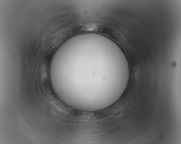 X0000116101442200912071248