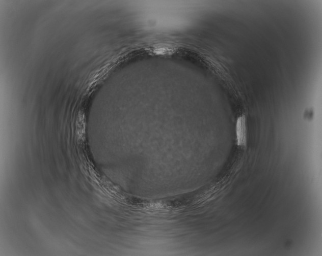 X0000116101443200912071248