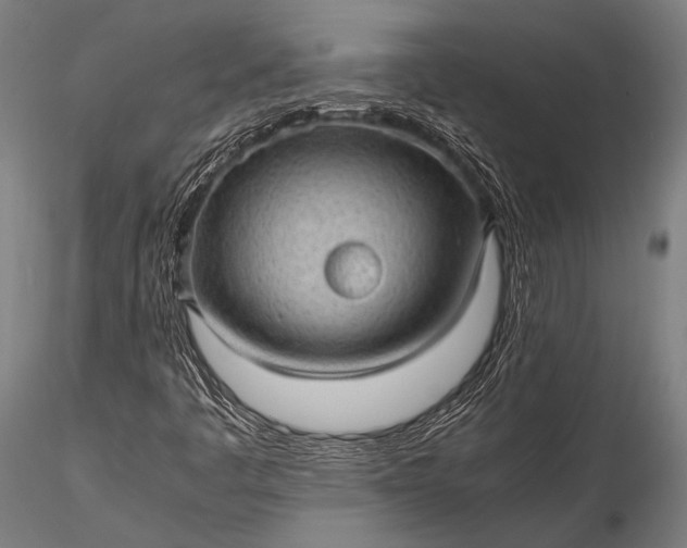 X0000116101445200912071248