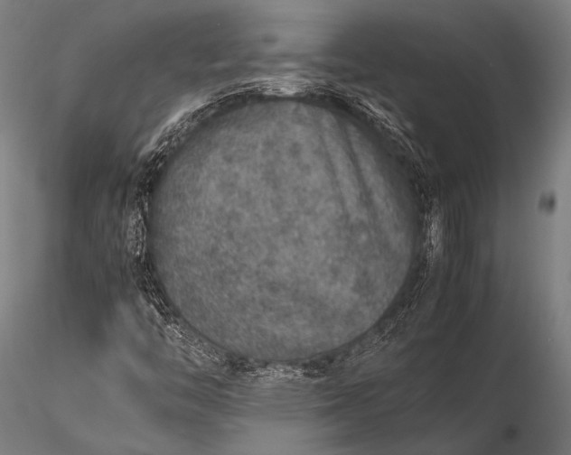 X0000116101446200912071248