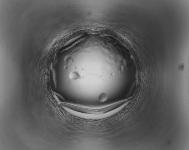 X0000116101447200912071248