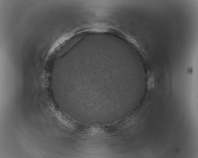 X0000116101448200912071248