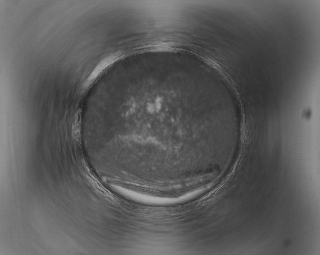 X0000116101450200912071248