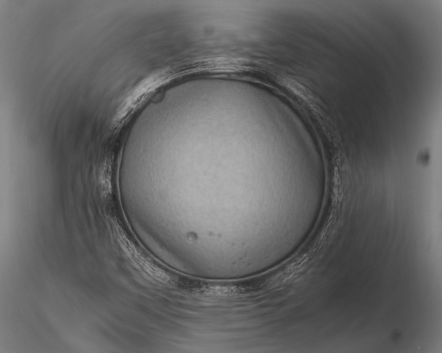 X0000116101451200912071248