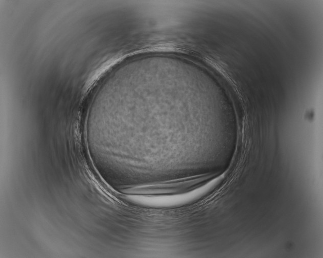 X0000116101452200912071248