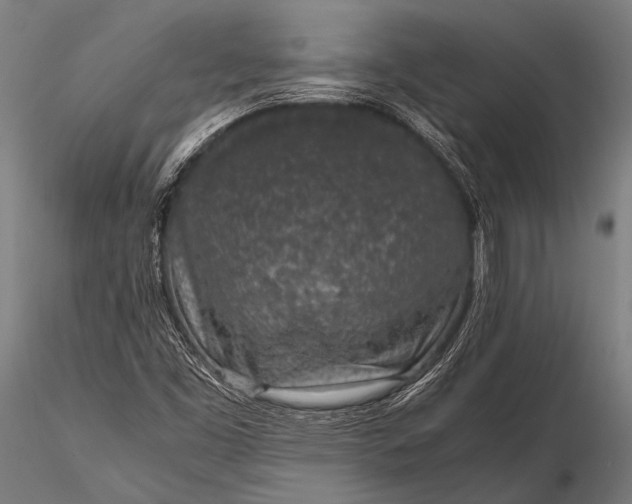 X0000116101453200912071248