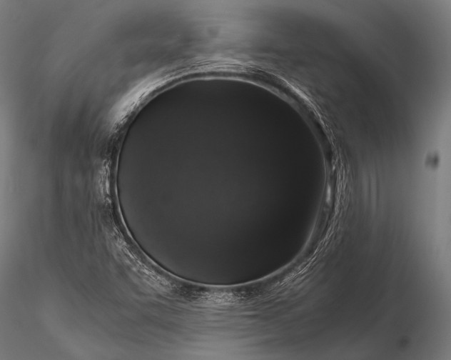 X0000116101455200912071248