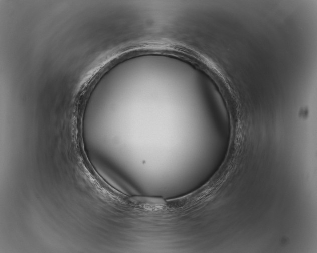 X0000116101456200912071248