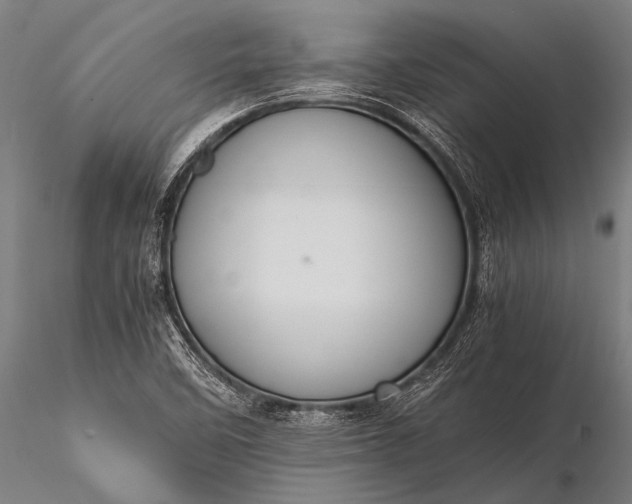 X0000116101458200912071248