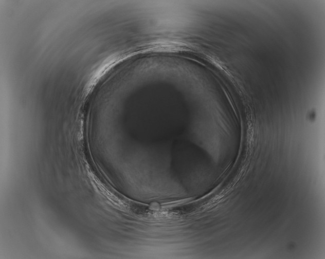 X0000116101459200912071248