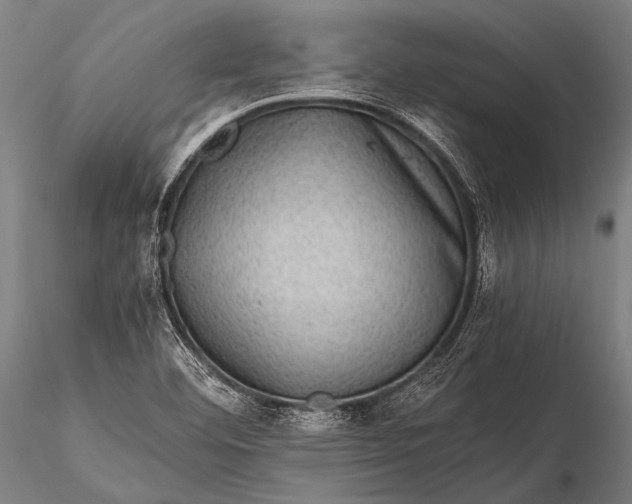 X0000116101460200912071248