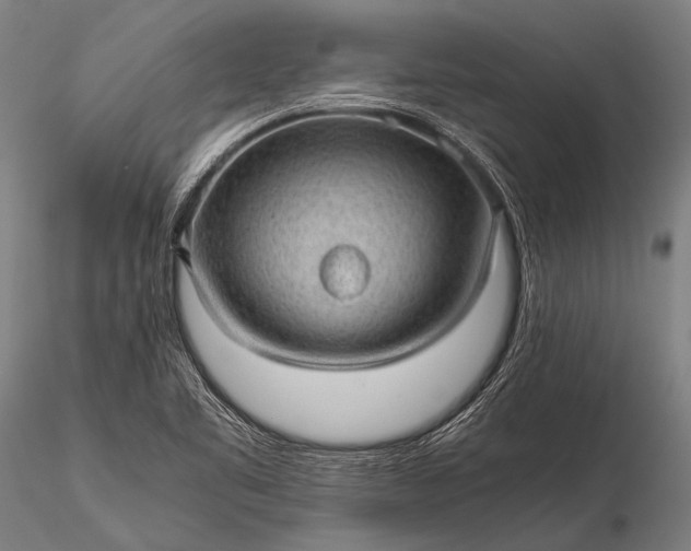 X0000116101461200912071248