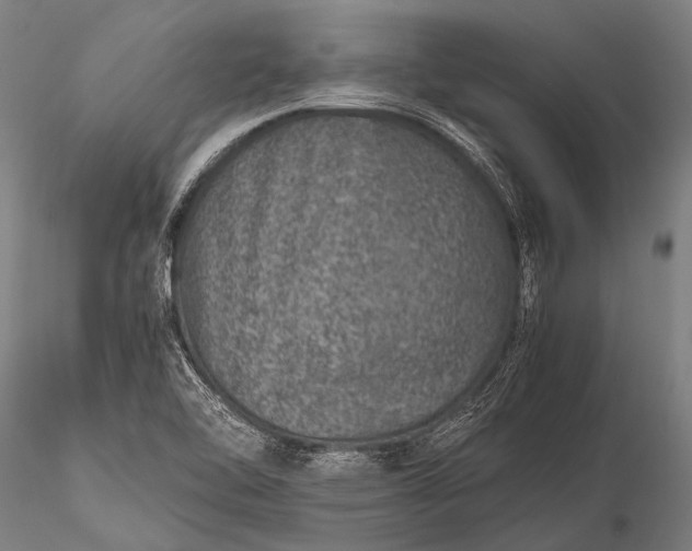 X0000116101462200912071248