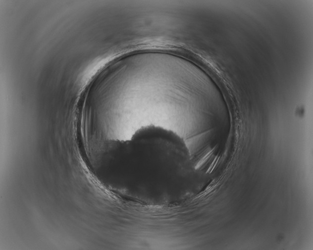 X0000116101463200912071248