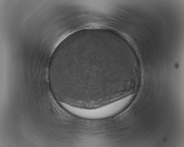 X0000116101465200912071248