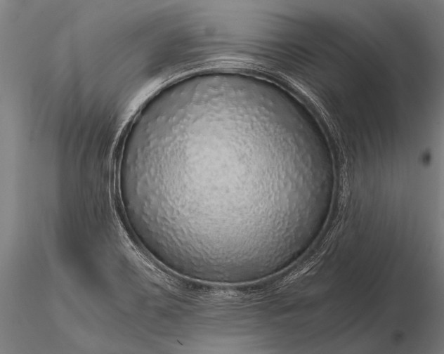 X0000116101467200912071248