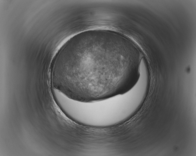 X0000116101468200912071248