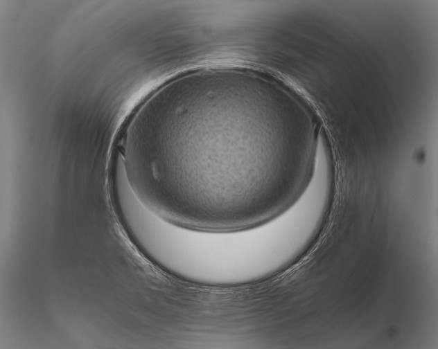 X0000116101469200912071248