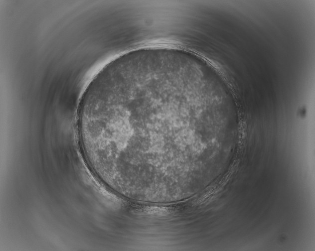 X0000116101470200912071248