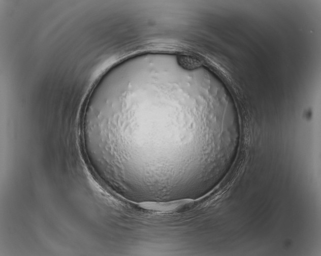 X0000116101471200912071248