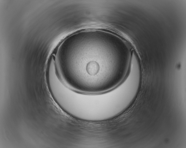 X0000116101472200912071247