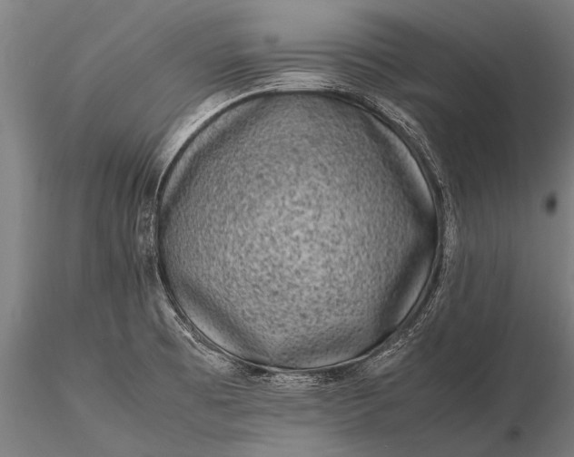 X0000116101473200912071247