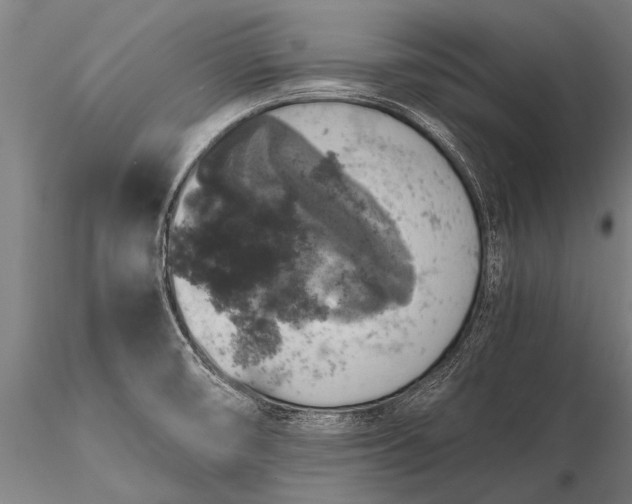 X0000116101474200912071247