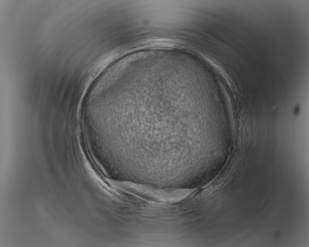 X0000116101475200912071247