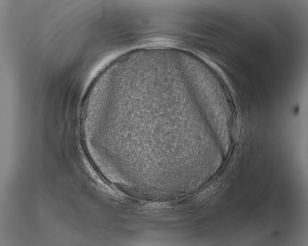 X0000116101477200912071247