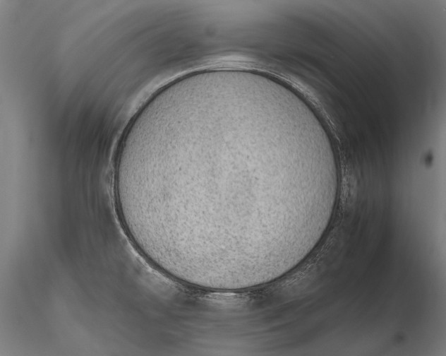 X0000116101478200912071247