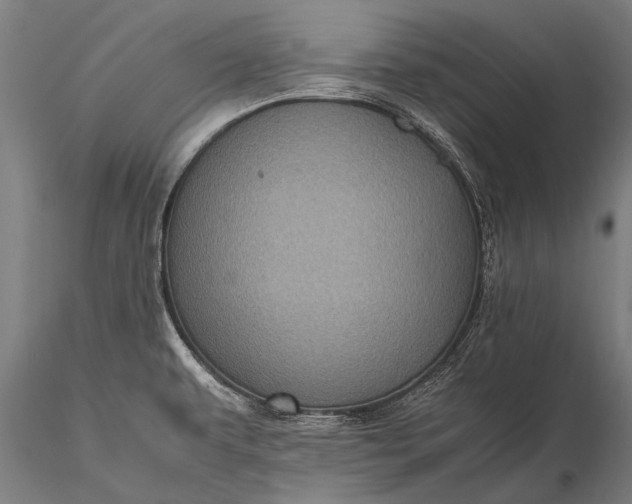 X0000116101479200912071247