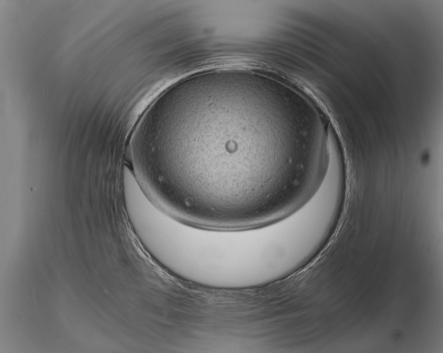 X0000116101481200912071247